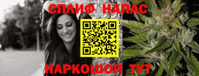 гидропоника Бузулук