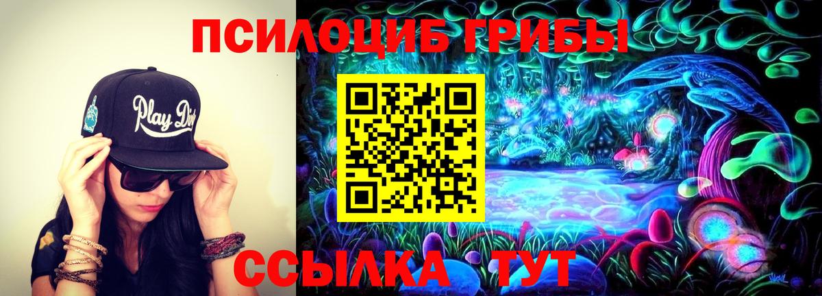 Галлюциногенные грибы GOLDEN TEACHER Саянск
